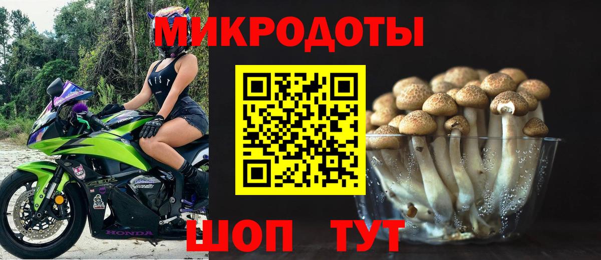 Мытищи  Псилоцибиновые грибы Psilocybine cubensis  Вход с VPN 